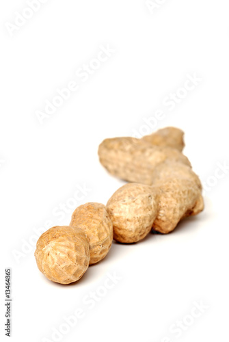 Isolated peanuts in the shell