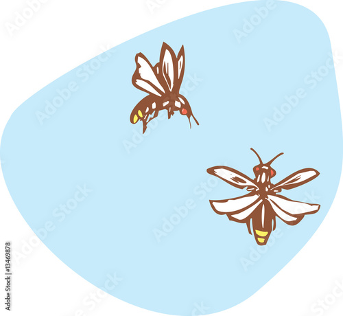 Two Fireflies