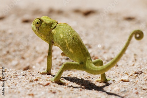 Bye