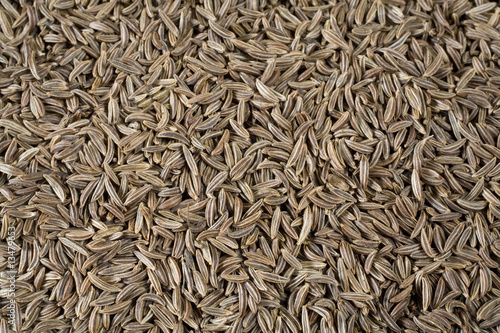 Bild auf Leinwand Caraway Seeds