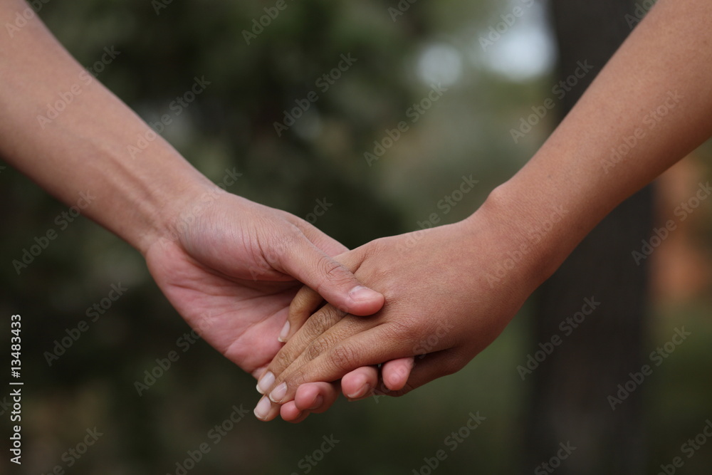 Lovers couple holding hands in a forest (summer/spring) Lovers couple holding hands in a forest (summer/spring)