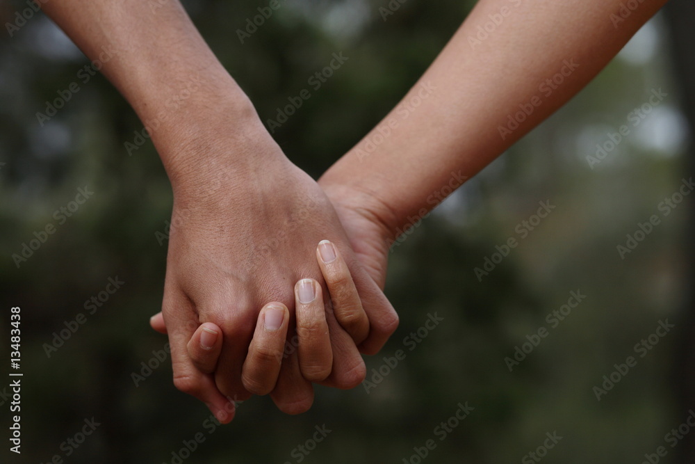Lovers couple holding hands in a forest (summer/spring) Lovers couple holding hands in a forest (summer/spring)
