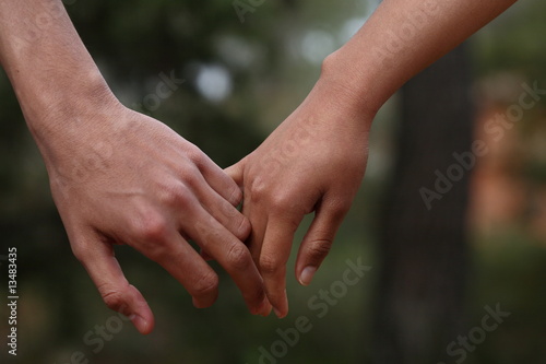 Lovers couple holding hands in a forest (summer/spring) © lightpoet