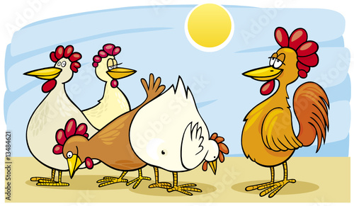 rooster and hens