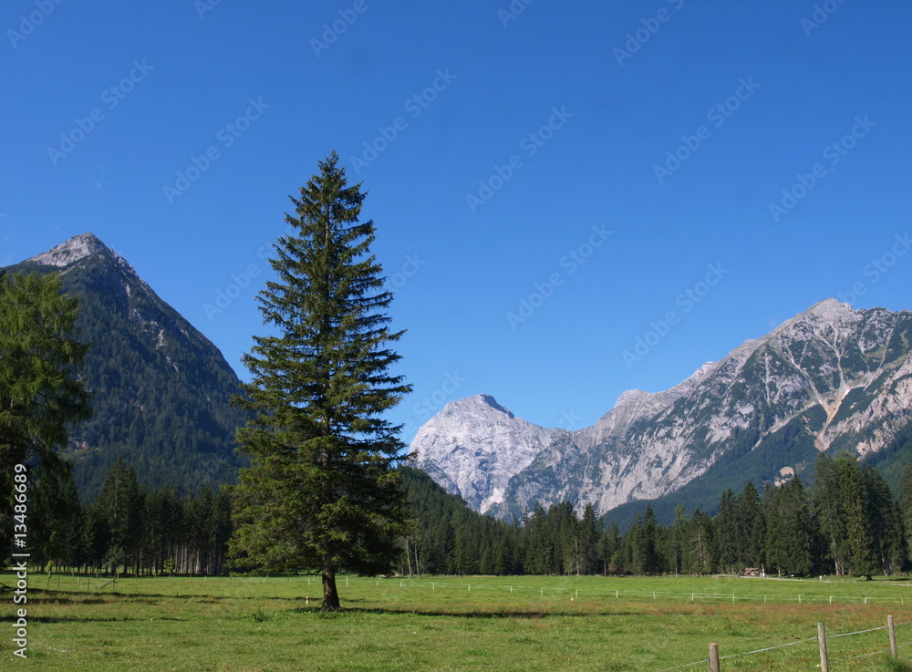 Berg Landschaft Alpen