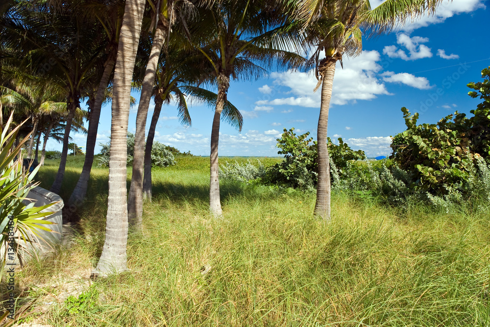 Fototapeta premium Miami Beach Strand