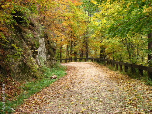 Canvastavla Old road to Poiana Brasov - Romania