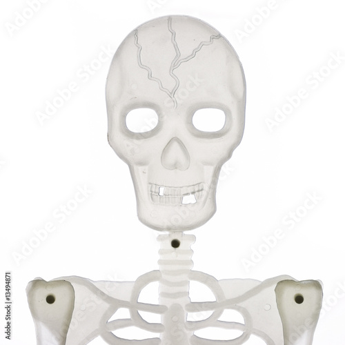 portrait of skeleton isolated on white
