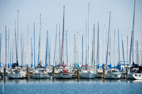 sailboats in a marina
