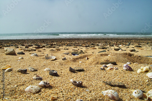 Strand Atlantik photo