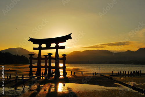 Torii gate of shrine