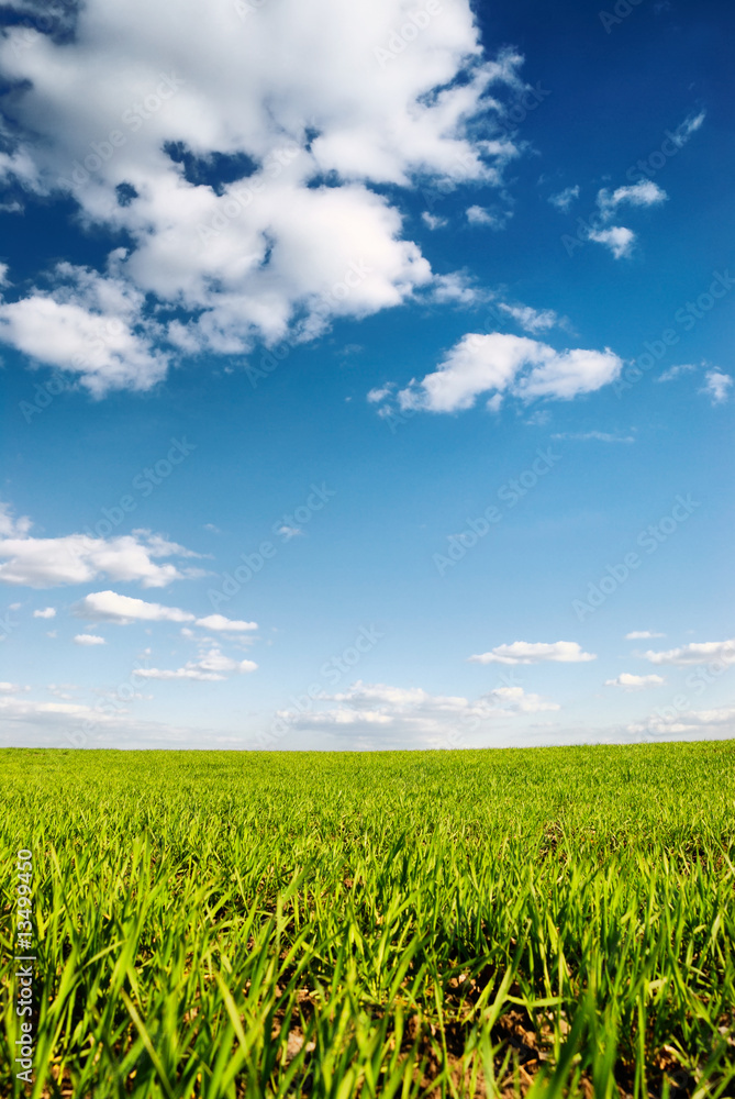 Landscape Landscape