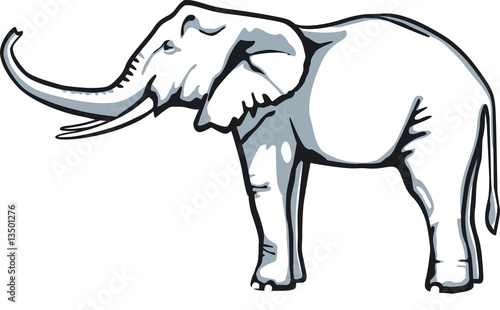 elephant