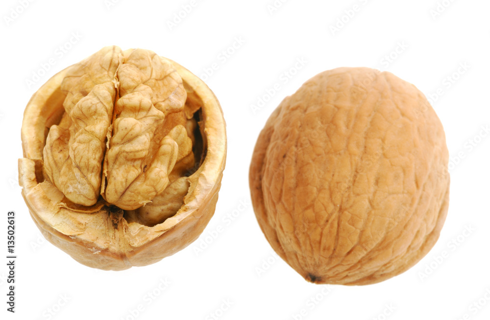 Walnut open Walnut open