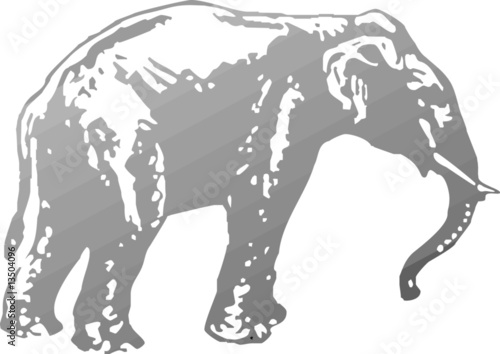 elephant 2