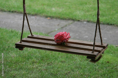 Rose on swing