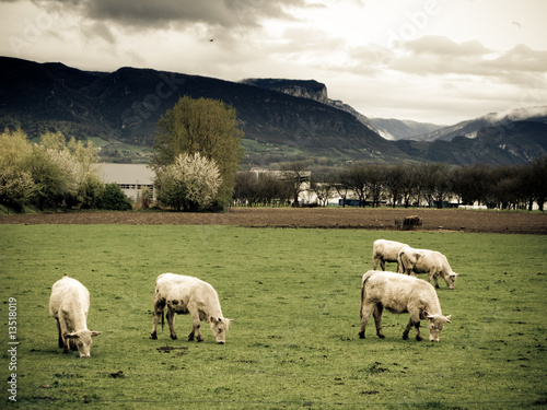 Cuadro en lienzo Paysage en Isère