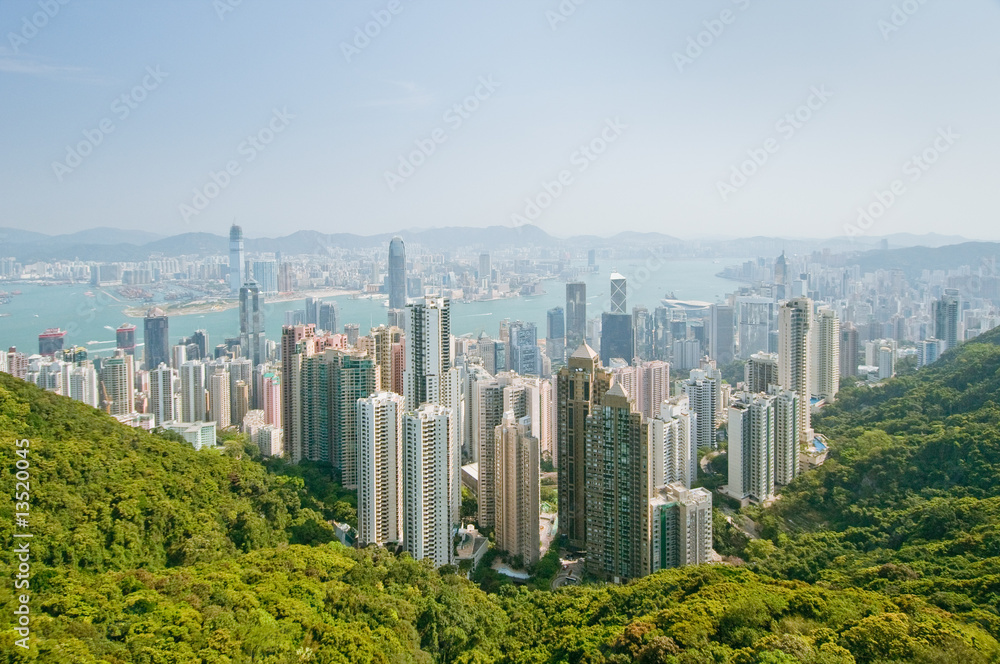 Fototapeta premium panorama of hong kong