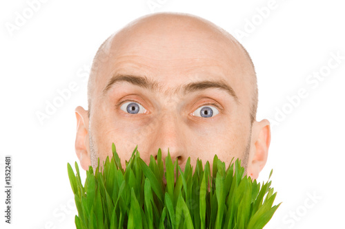 Wallpaper Mural Like Easter egg Torontodigital.ca