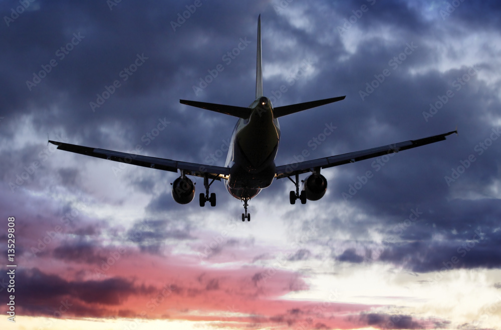 Fototapeta premium Plane passes overhead