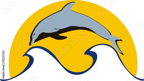 dolphin