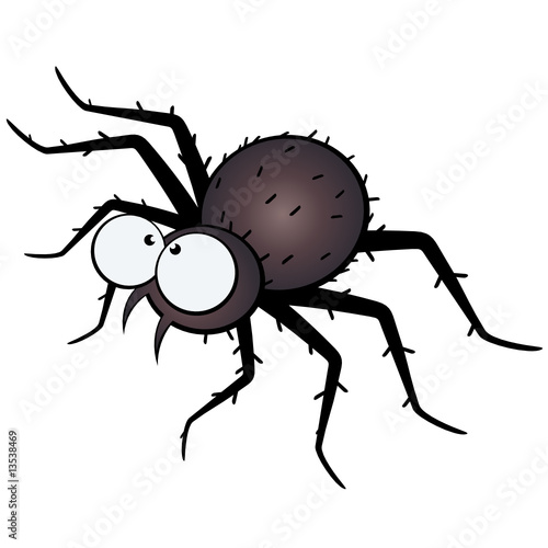 spinne cartoon comic