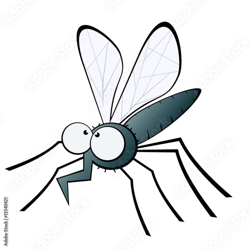 mücke moskito fliege photo
