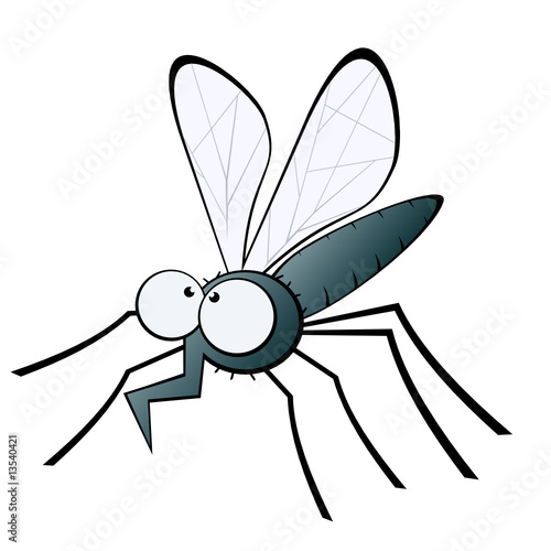 mücke moskito fliege