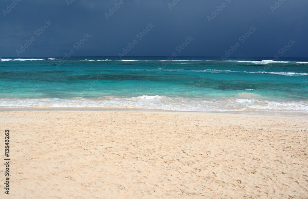 Dramatic Tropical Beach