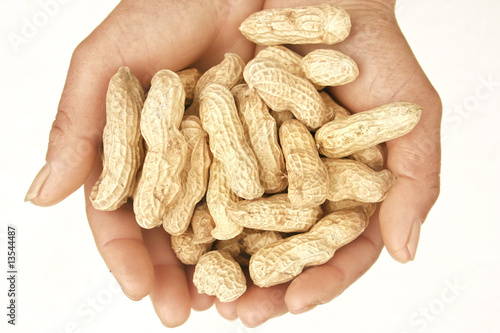 Hand with collection of dried peanut