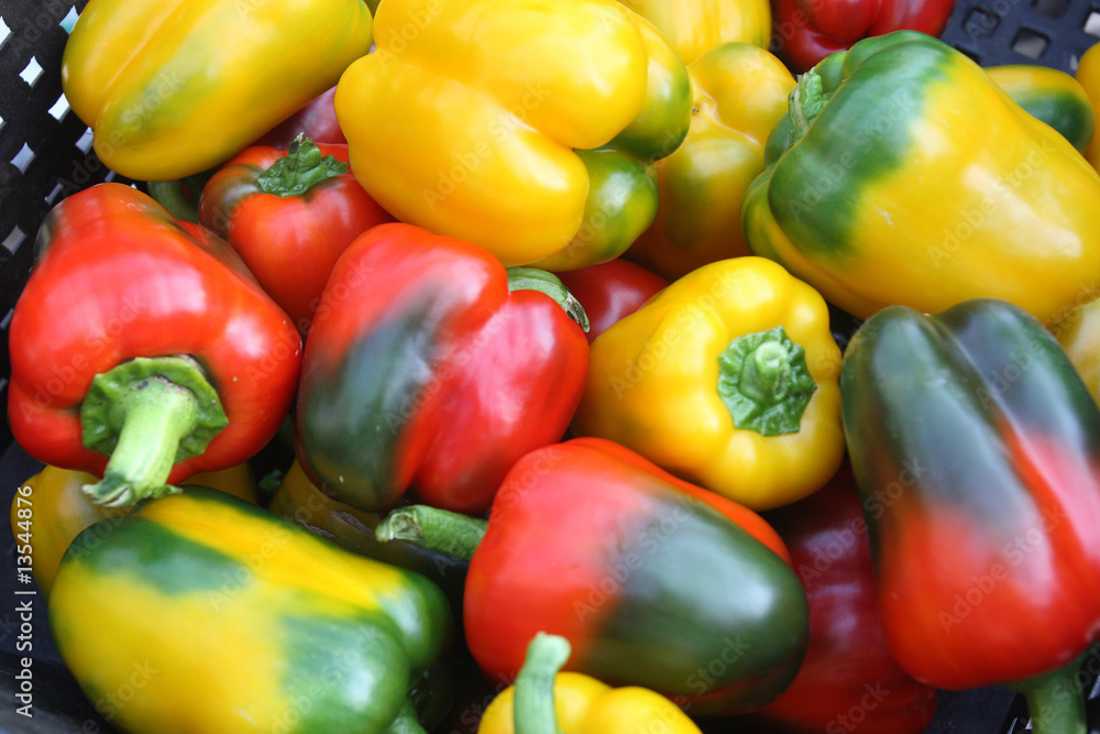 Fresh vegetables - peppers