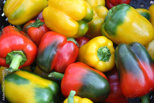 Fresh vegetables - peppers