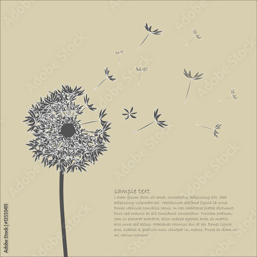 Dandelion