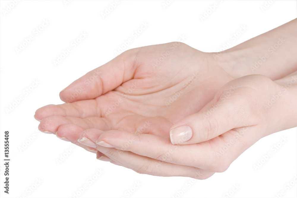 Hands Hands