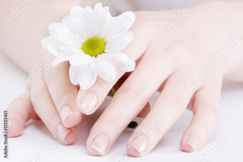 Beautiful female hands..