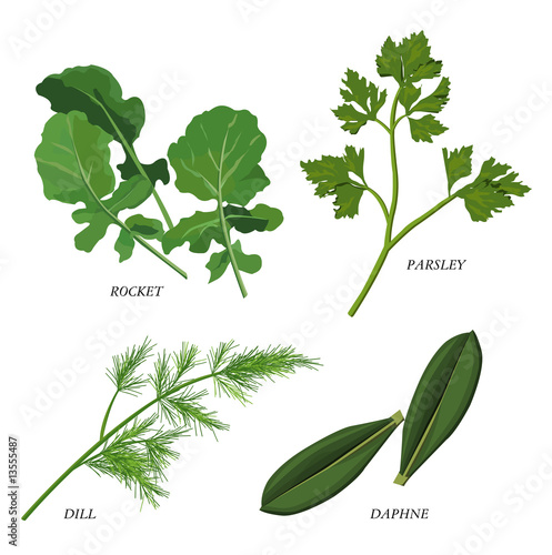 Herbs