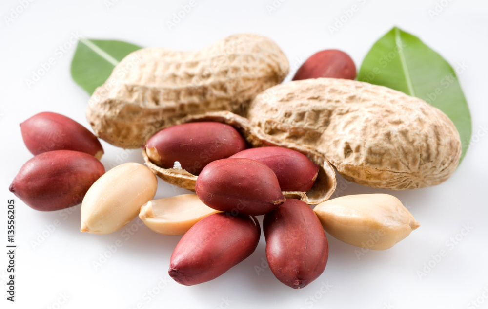 Peanut with pods and leaves on a white background. Peanut with pods and leaves on a white background.