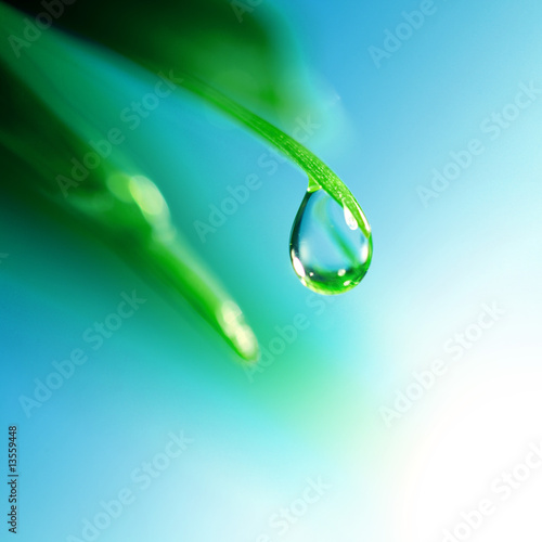 Fotografia shine water drop