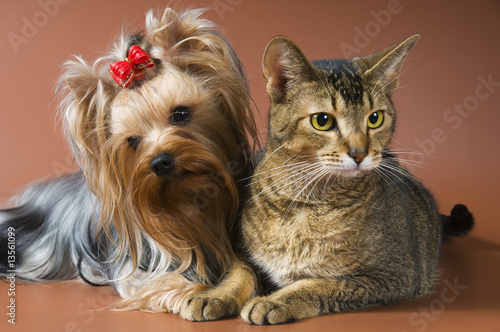 Friends again together