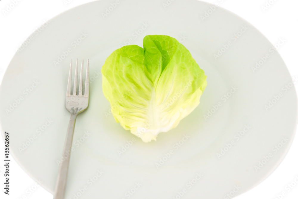 single lettuce leaf on a plate single lettuce leaf on a plate