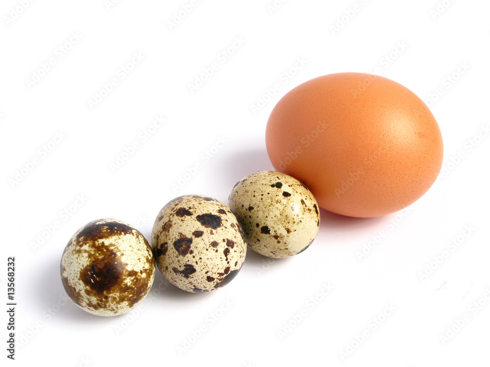 Chicken and Quail Eggs on white background Chicken and Quail Eggs on white background