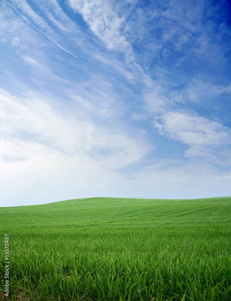 Green grass on a hill and blue summer sky Green grass on a hill and blue summer sky