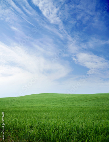 Green grass on a hill and blue summer sky