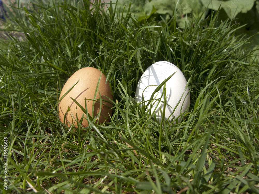 Oeufs au naturel Oeufs au naturel