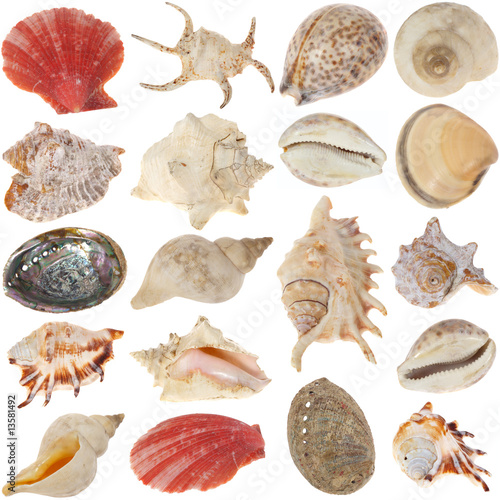 Shells-set