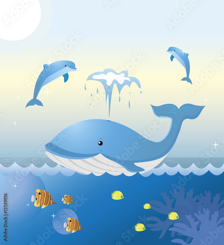 Smiley whale