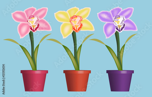 colourful illustration of orchids in pot