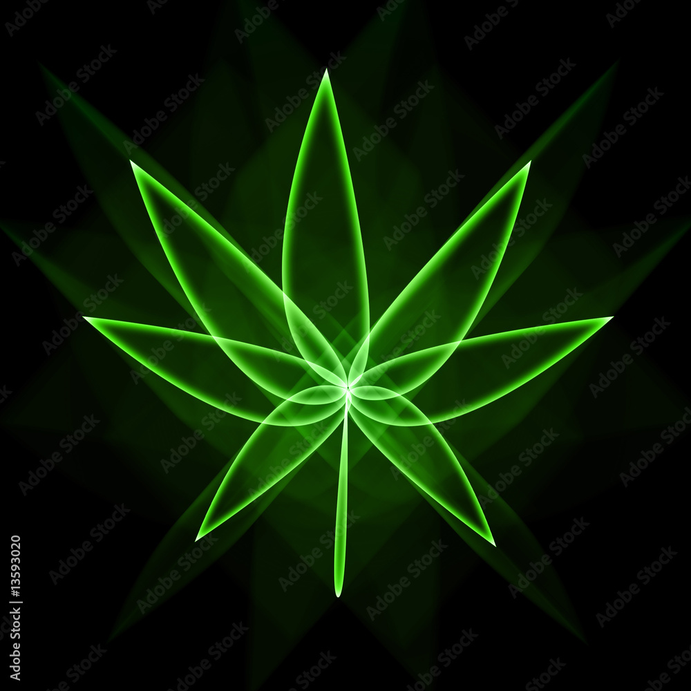 Fototapeta premium Canabis