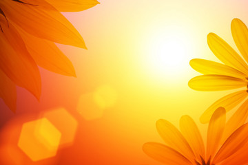 Sunshine background with sunflower details