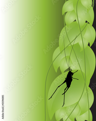 green background with grasshopper